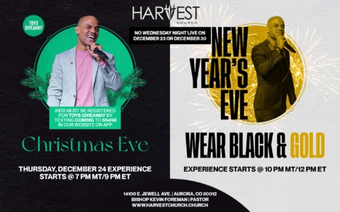 Christmas + New Year Eve