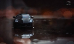 12342670_761179537358811_3299438068020634328_n