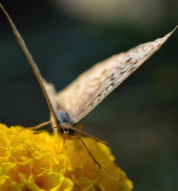 139780412_2252457954897621_4767373722678996814_n