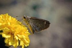 140878440_2253677504775666_6142883879657567328_n