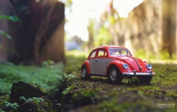 16904676_1037415473068548_3333044141823703679_o