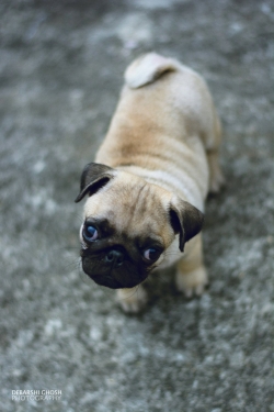 17835226_1068324586644303_3967573903675377085_o